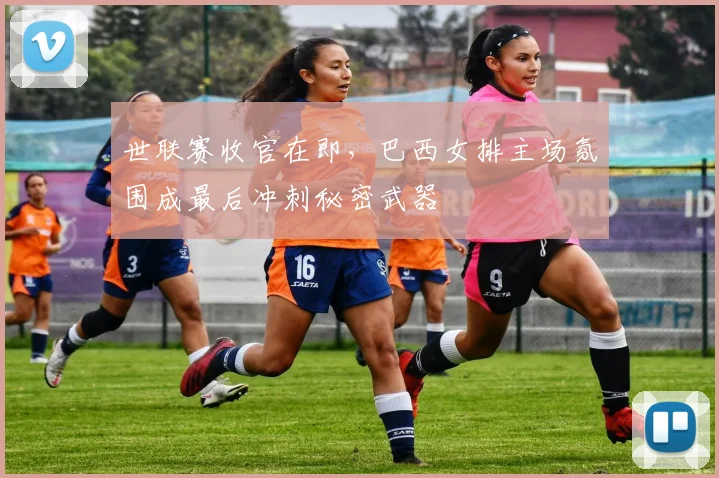 世联赛收官在即，巴西女排主场氛围成最后冲刺秘密武器