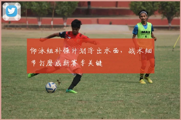 仰泳组补强计划浮出水面，战术细节打磨成新赛季关键